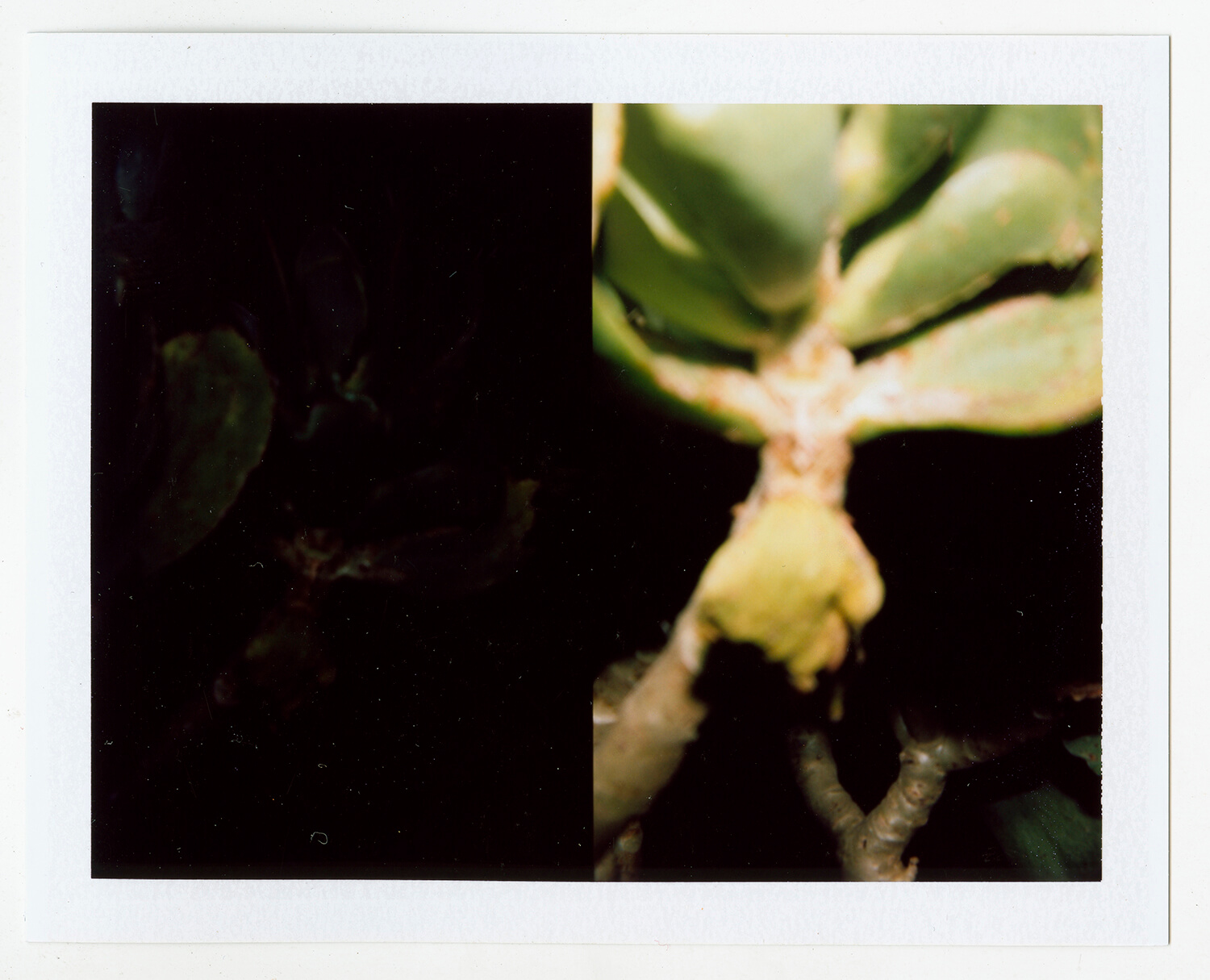  I.D.077, The Polaroid Revolutionary Workers, 2013, Polaroid Picture, 107mm x 86mm 