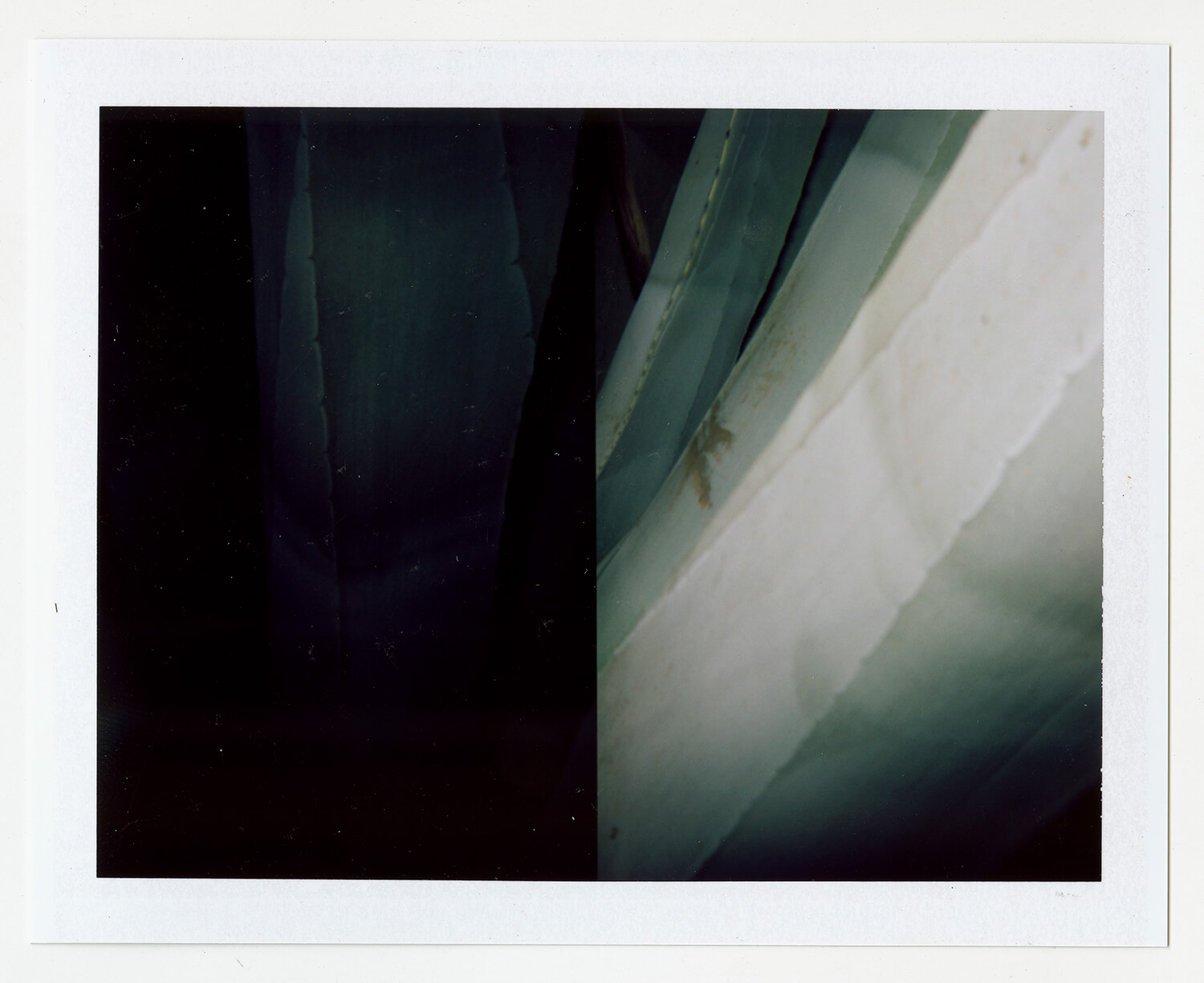  I.D.083, The Polaroid Revolutionary Workers, 2013, Polaroid Picture, 107mm x 86mm 