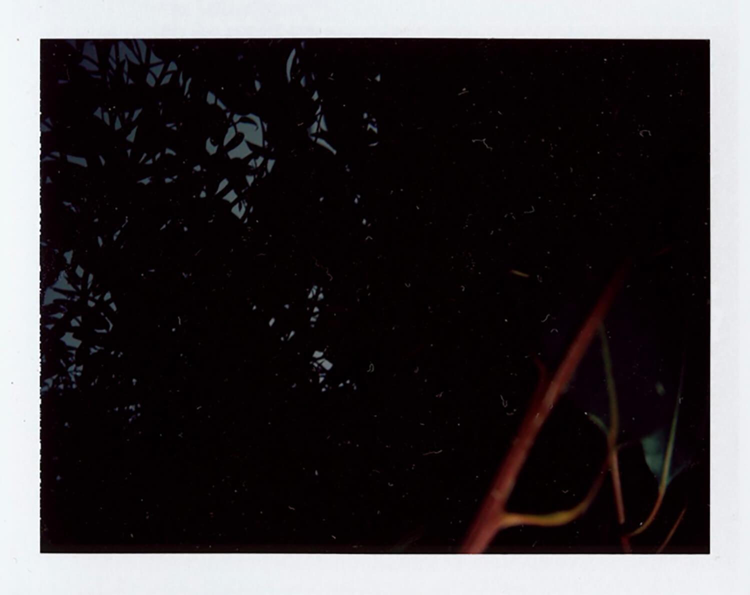  I.D.086, The Polaroid Revolutionary Workers, 2013, Polaroid Picture, 107mm x 86mm 