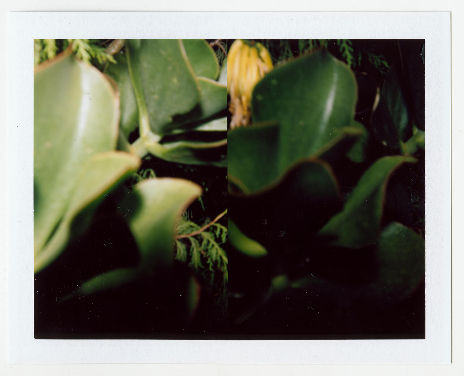  I.D.089, The Polaroid Revolutionary Workers, 2013, Polaroid Picture, 107mm x 86mm 