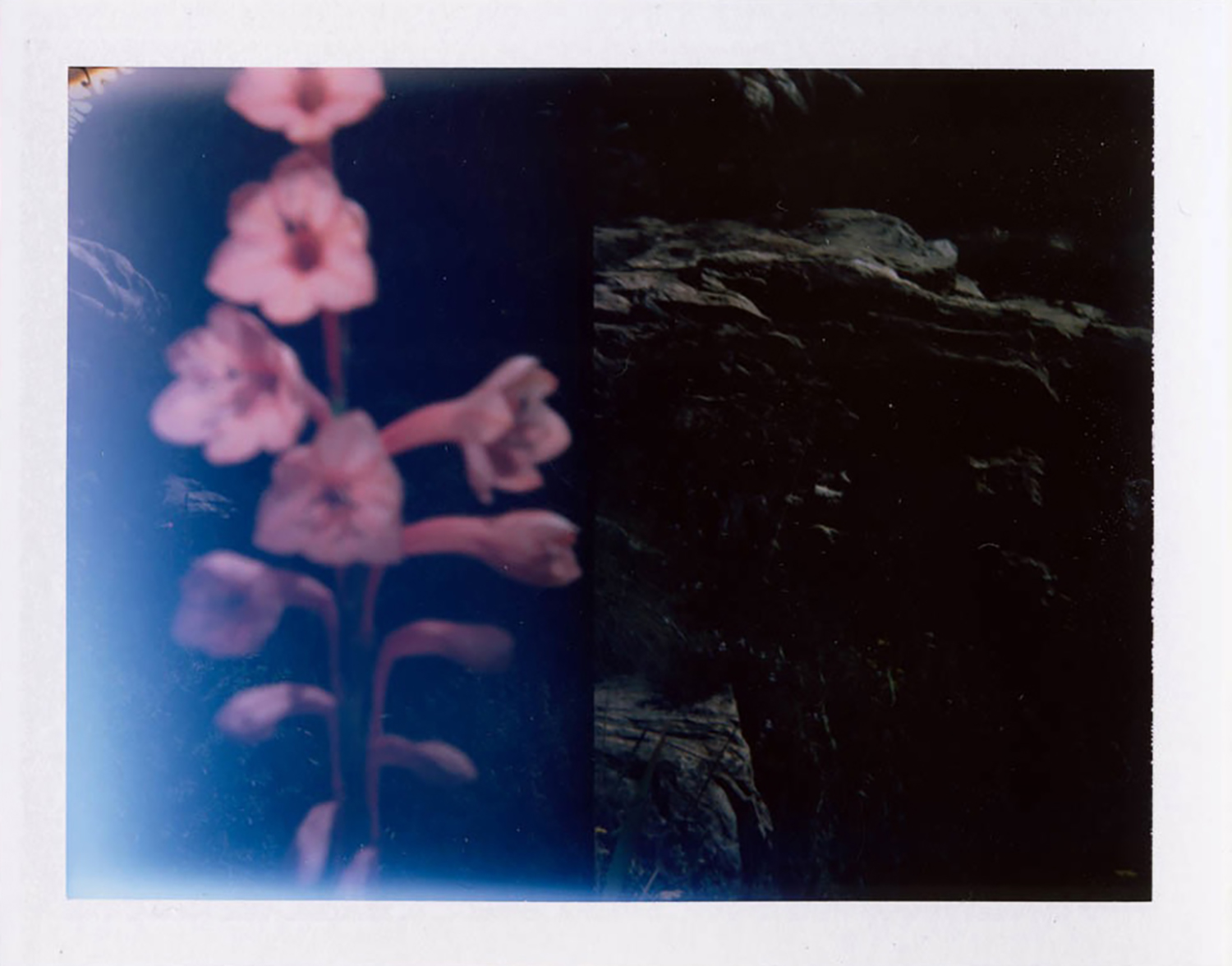  I.D.033, The Polaroid Revolutionary Workers, 2013, Polaroid Picture, 107mm x 86mm&nbsp; 