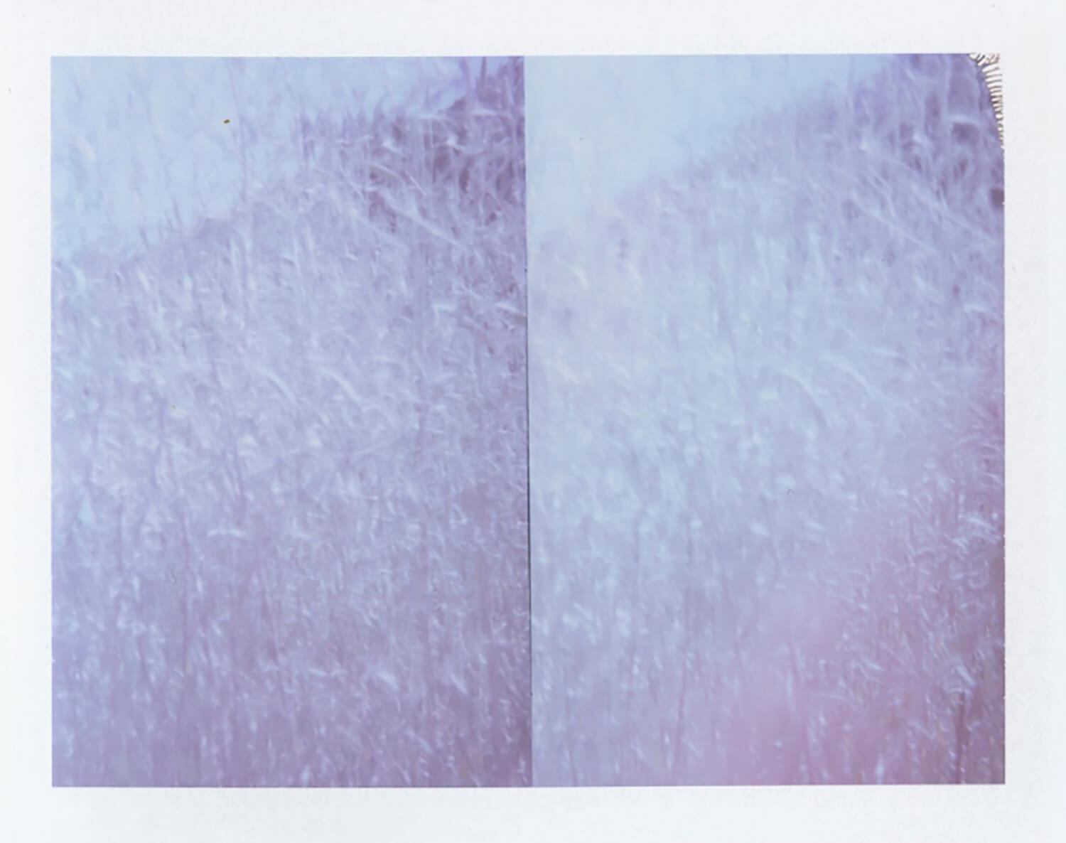  I.D.093, The Polaroid Revolutionary Workers, 2013, Polaroid Picture, 107mm x 86mm 