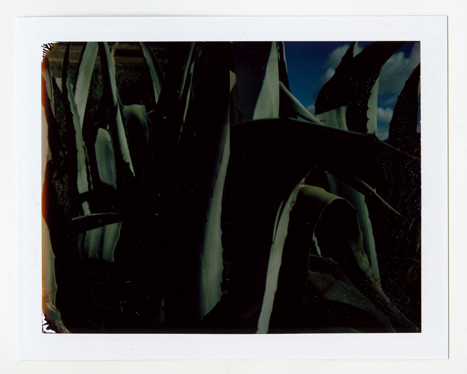  I.D.097, The Polaroid Revolutionary Workers, 2013, Polaroid Picture, 107mm x 86mm 
