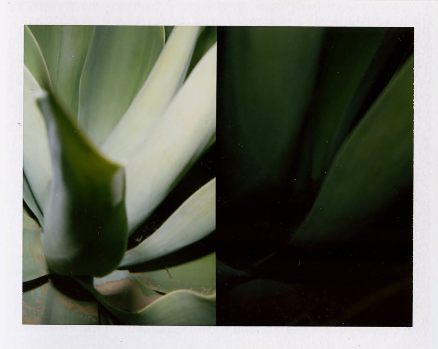  I.D.040, The Polaroid Revolutionary Workers, 2013, Polaroid Picture, 107mm x 86mm 