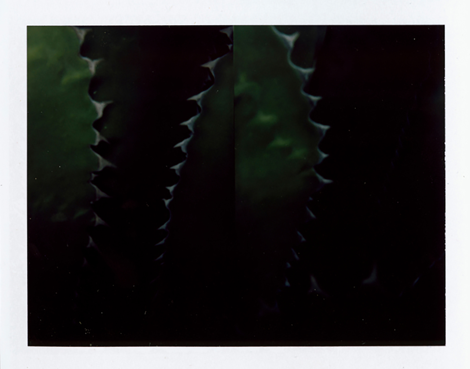  I.D.054, The Polaroid Revolutionary Workers, 2013, Polaroid Picture, 107mm x 86mm 