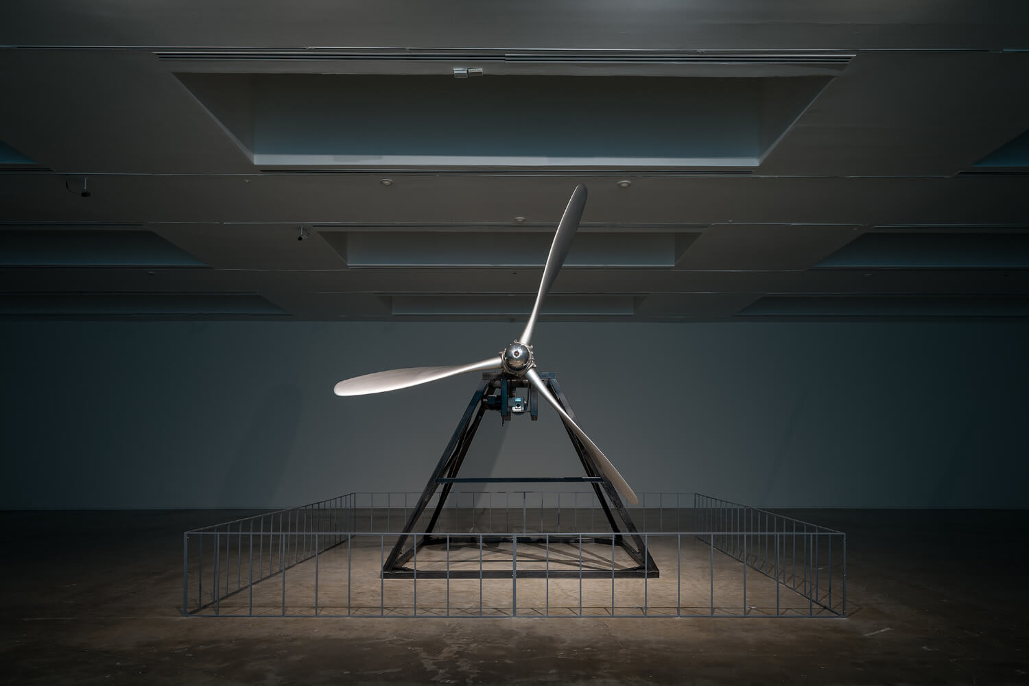  Dodo, Fundación Jumex Arte Contemporáneo, Installation view, 2014 Image © Moritz Bernoully 