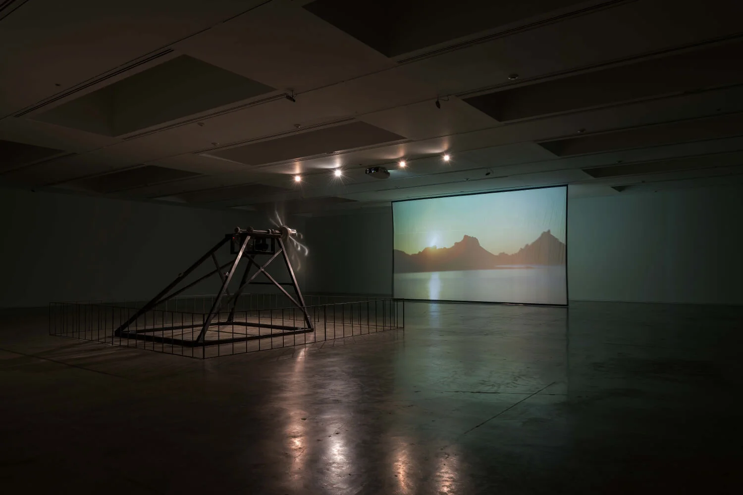  Dodo, Fundación Jumex Arte Contemporáneo, Installation view, 2014 Image © Moritz Bernoully 