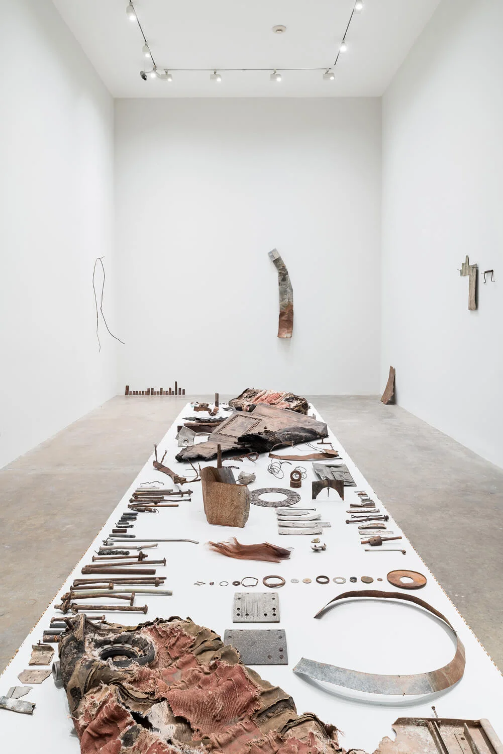  Dodo, Fundación Jumex Arte Contemporáneo, Installation view, 2014 Image © Moritz Bernoully 