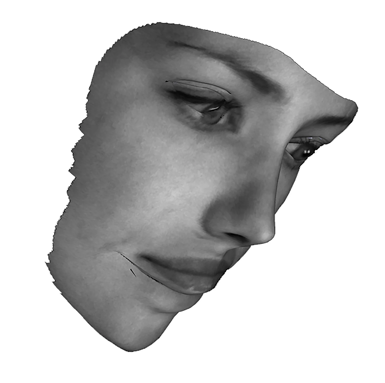 12 face0038.jpg