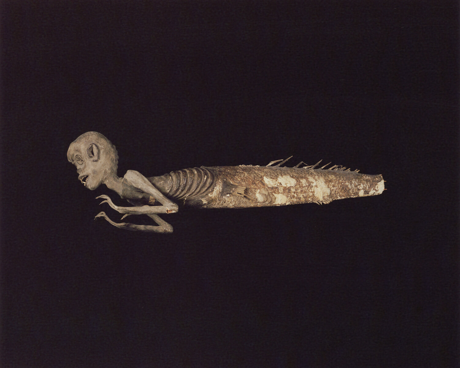  Fig. 17 (c-type print, 5x4-, 2007) 