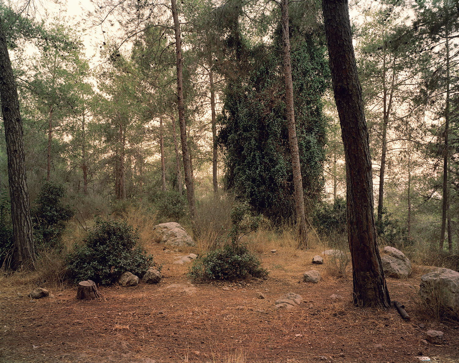  Rabin Park, (c-type print, 19x23-, 2006) 