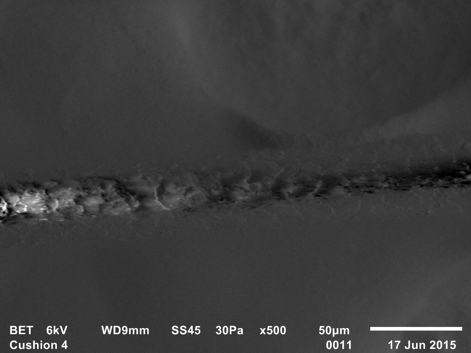  Trace evidence 6, Freud's Qashqa'i rug, Adam Broomberg &amp; Oliver Chanarin, 2015, SEM, Backscattered electron topographic image, 35mm slide 