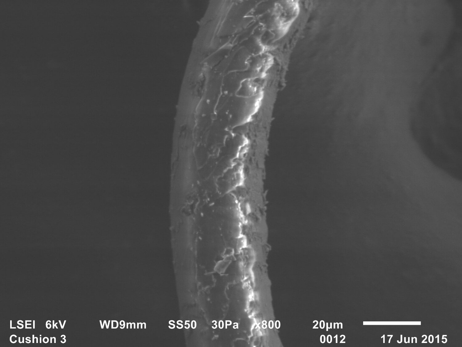  Trace evidence 9, Freud's Qashqa'i rug, Adam Broomberg &amp; Oliver Chanarin, 2015, SEM, Secondary electron image, 35mm slide 