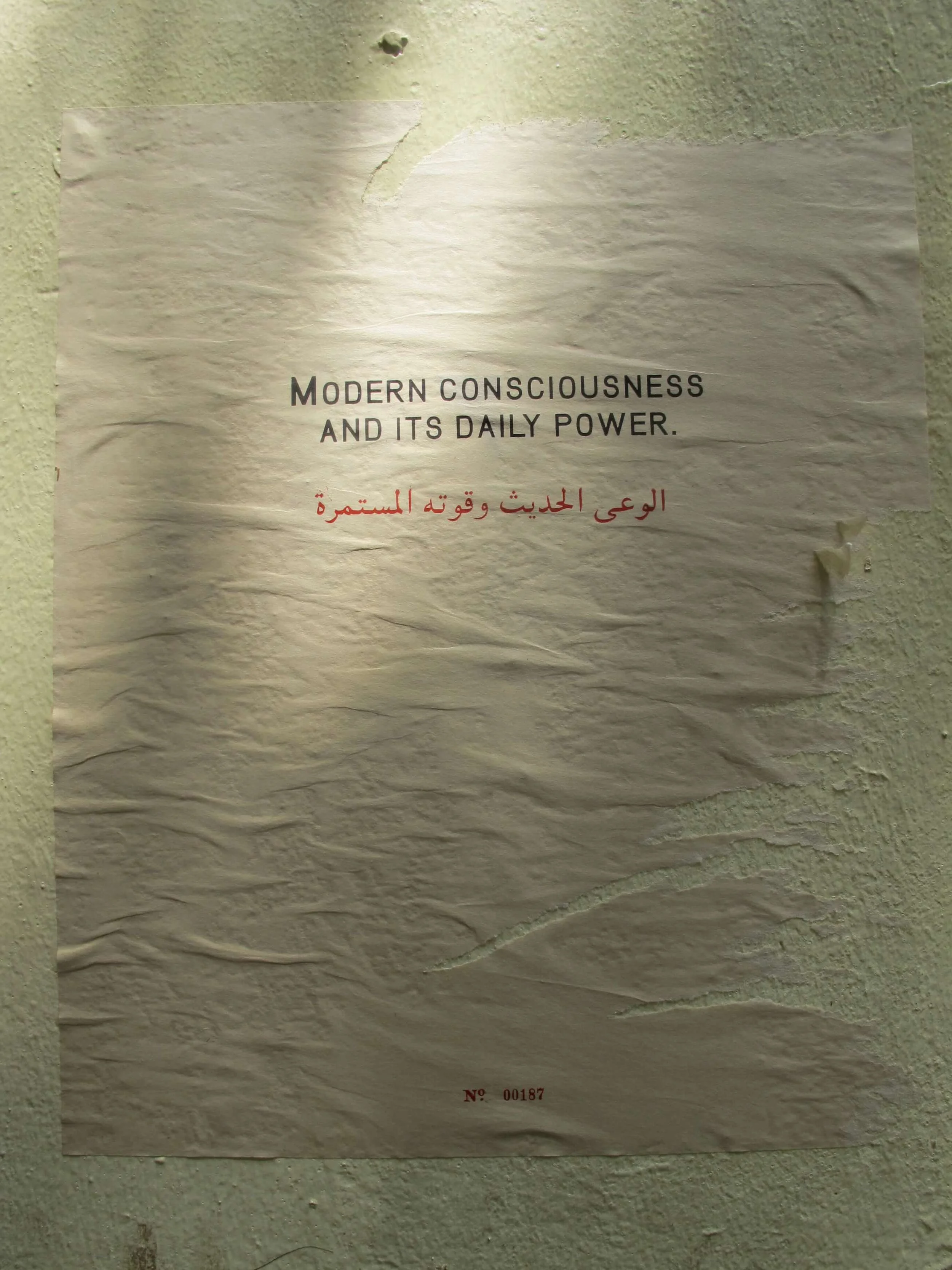 2 - (Downtown Cairo), 2010.JPG