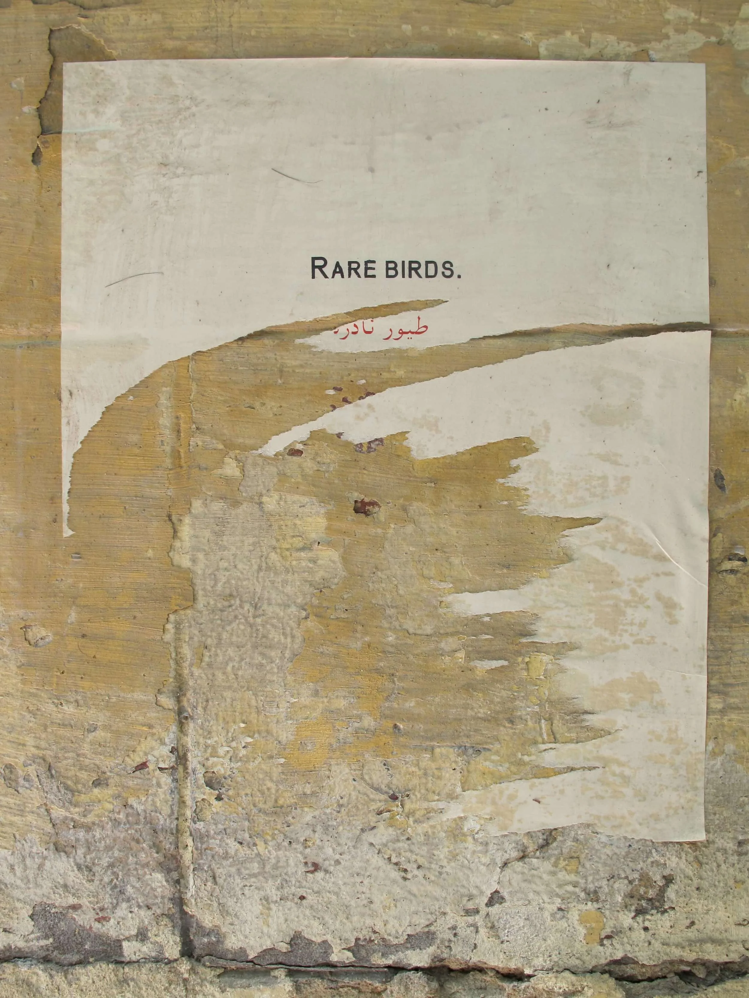 1 - (Downtown Cairo), 2010.JPG