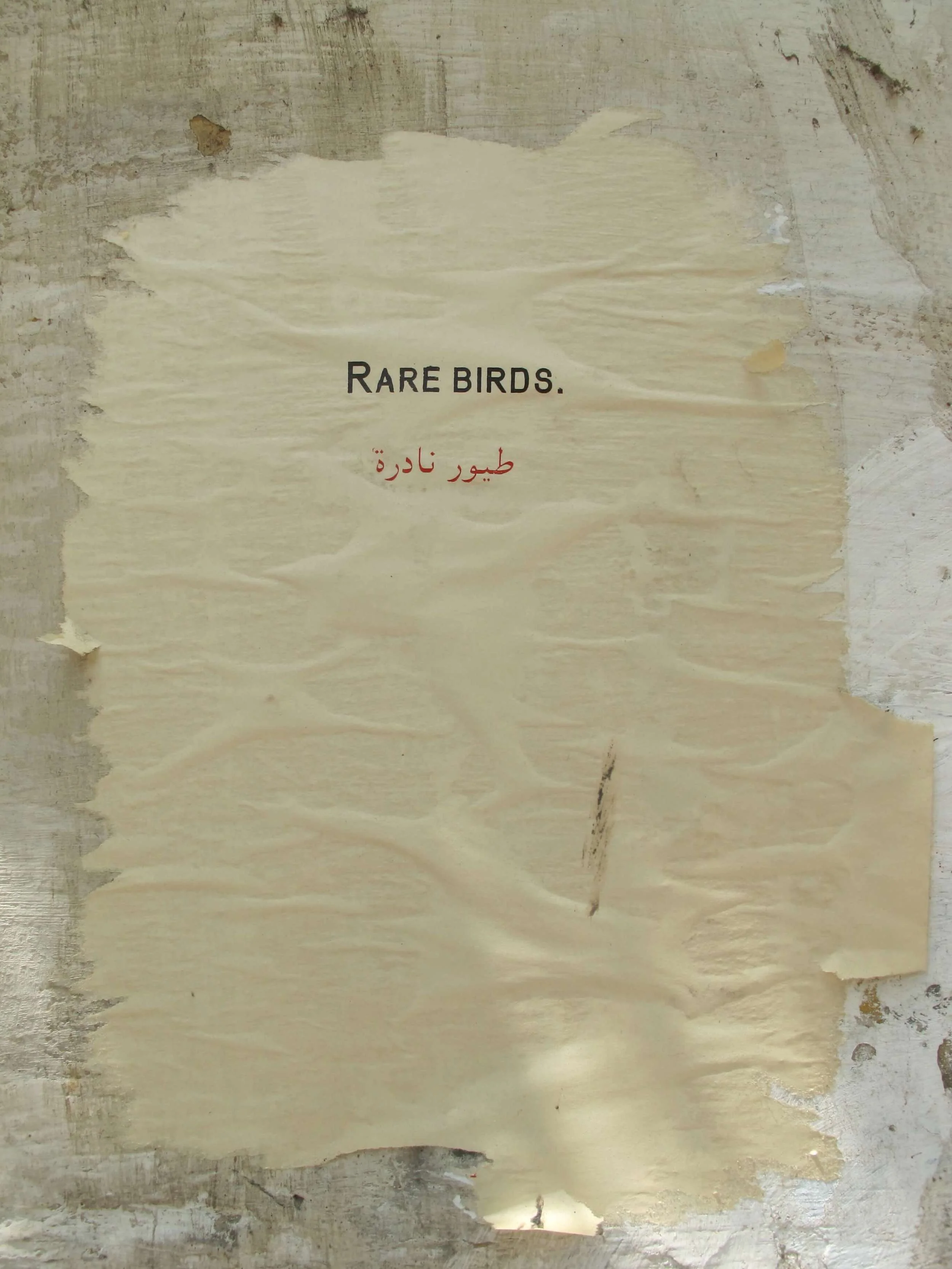 3 - (Downtown Cairo), 2010  .JPG