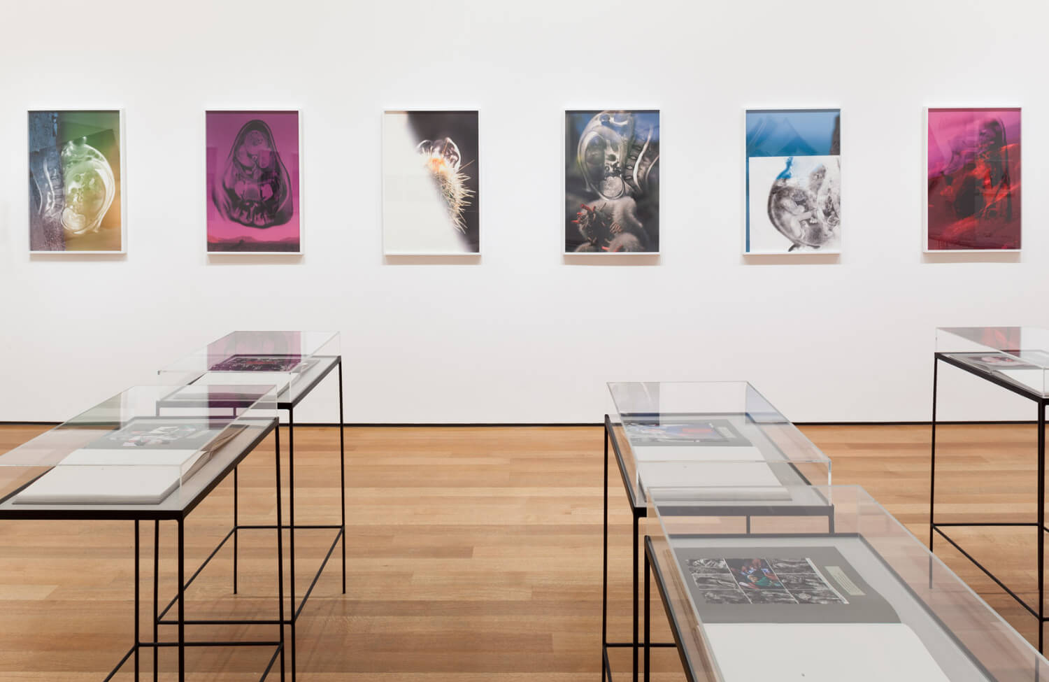 Installation view of the exhibition New Photography 2013. © 2013 The Museum of Modern Art, New York. Photograph by Thomas Griesel - 3.jpg
