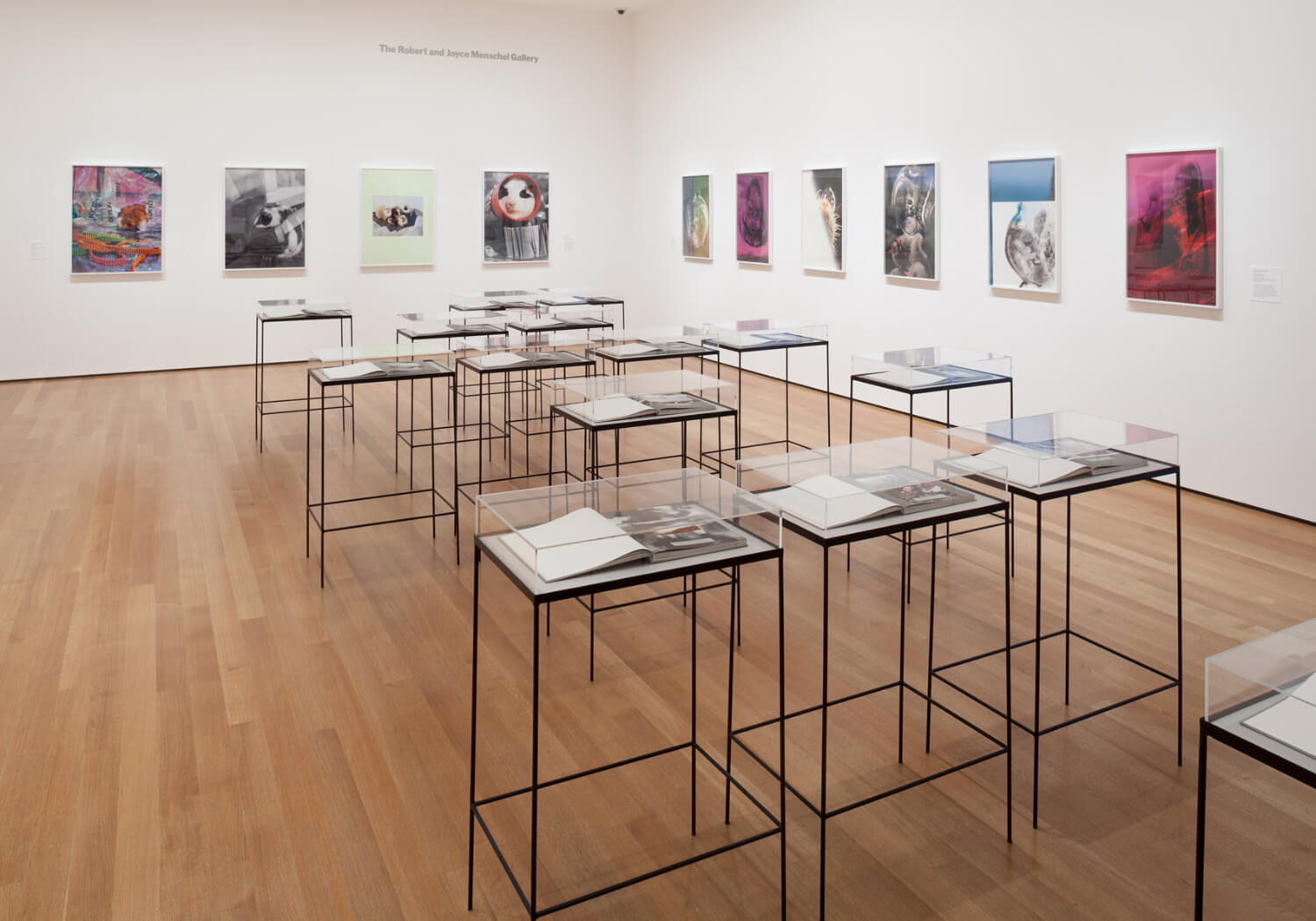 Installation view of the exhibition New Photography 2013. © 2013 The Museum of Modern Art, New York. Photograph by Thomas Griesel - 2.jpg