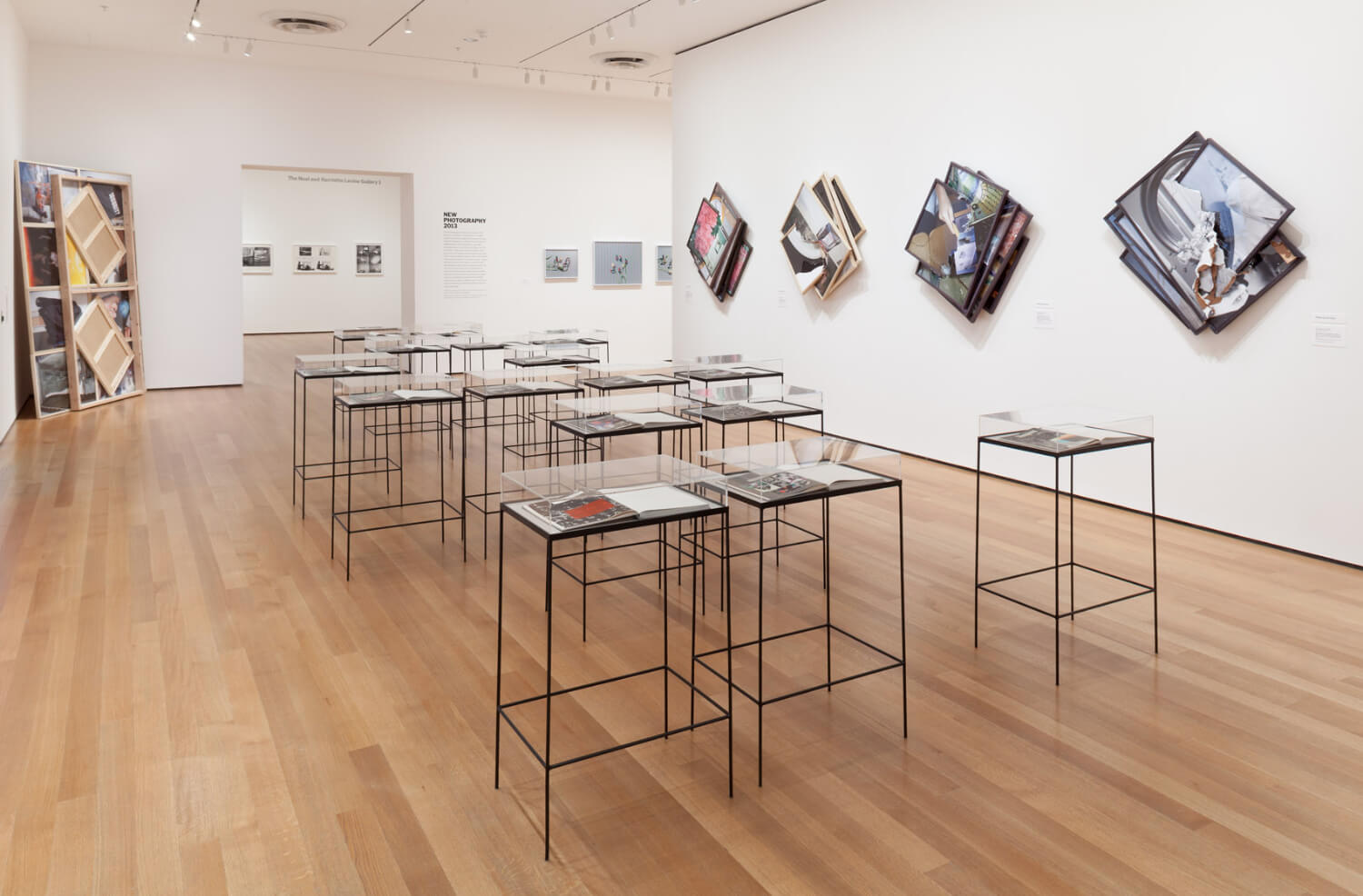 Installation view of the exhibition New Photography 2013. © 2013 The Museum of Modern Art, New York. Photograph by Thomas Griesel - 4.jpg