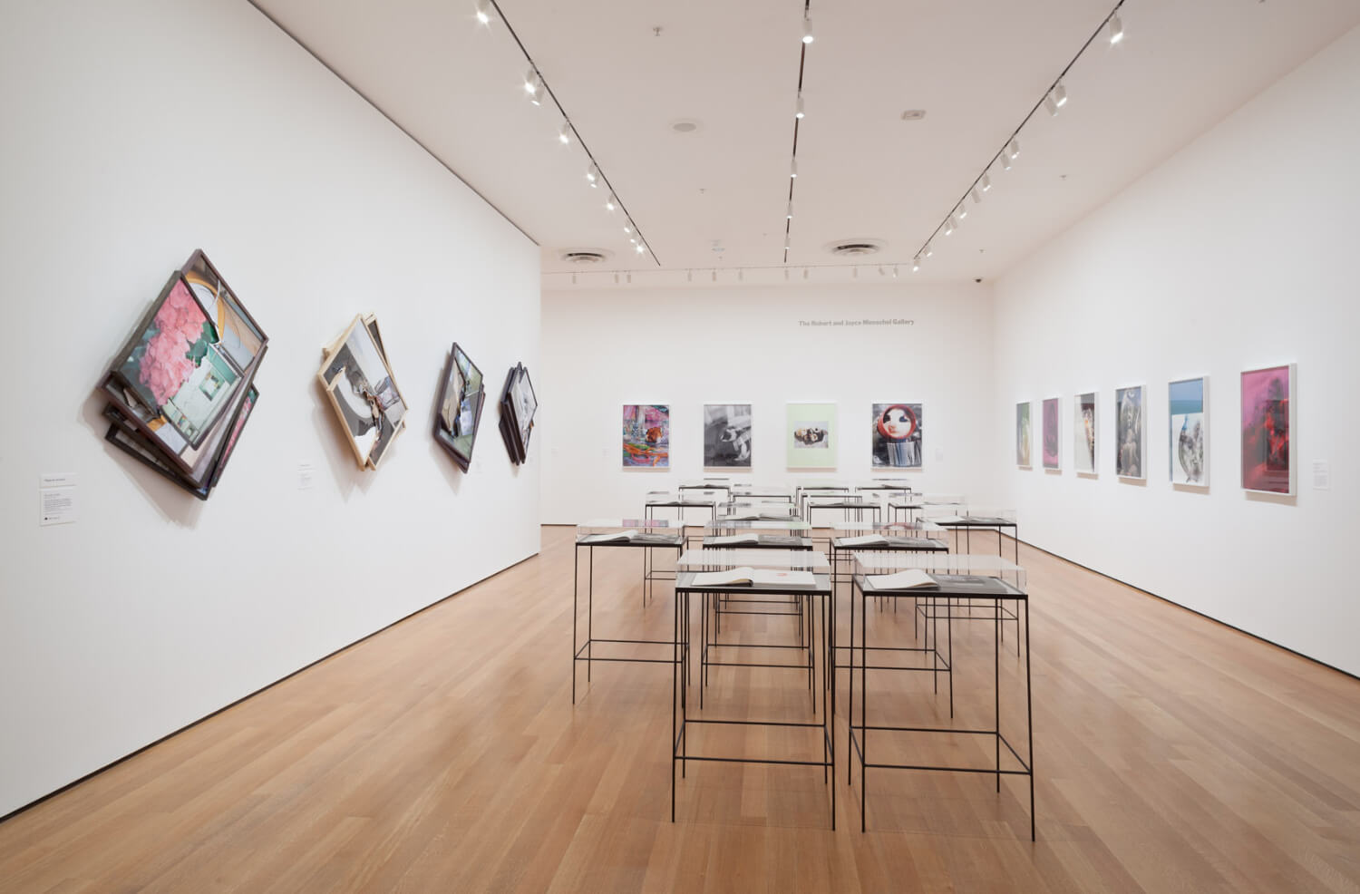 Installation view of the exhibition New Photography 2013. © 2013 The Museum of Modern Art, New York. Photograph by Thomas Griesel - 5.jpg