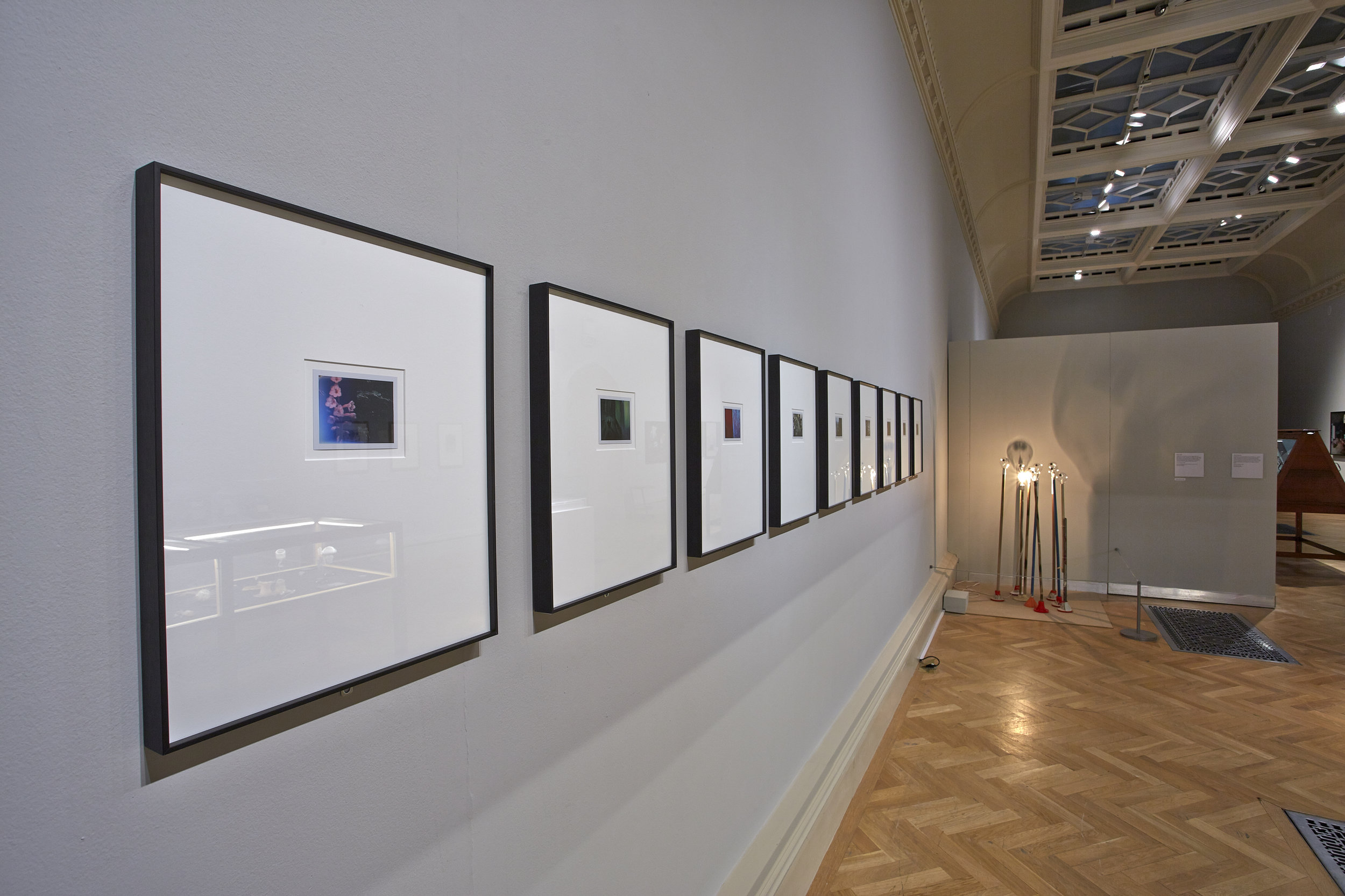  Installation view, Curiosity: Art and the Pleasures of Knowing, Turner Contemporary 23 May – 15 September 2013. Photo Steve White. Courtesy Hayward Touring 