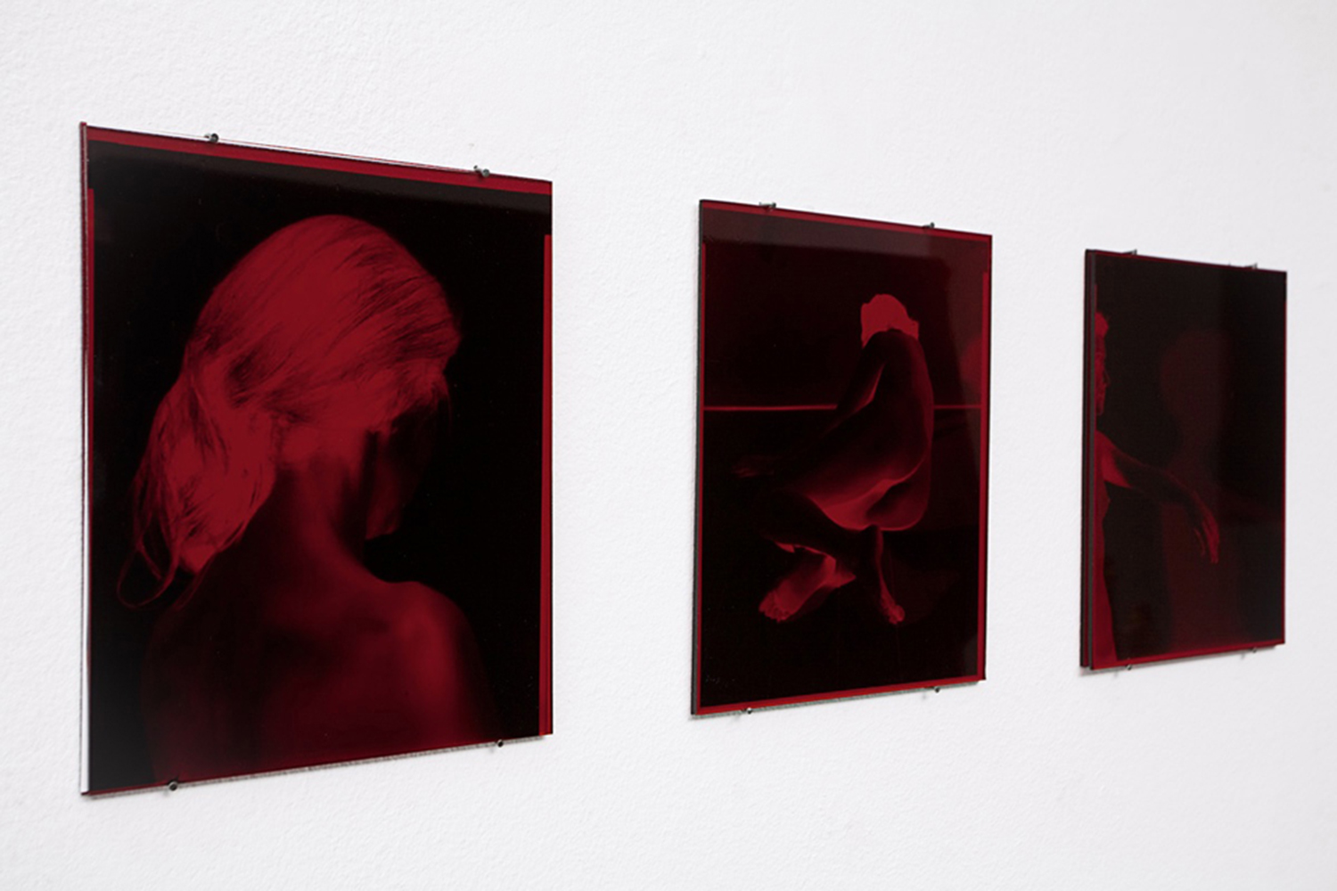  Dora Forbert, Installation view 