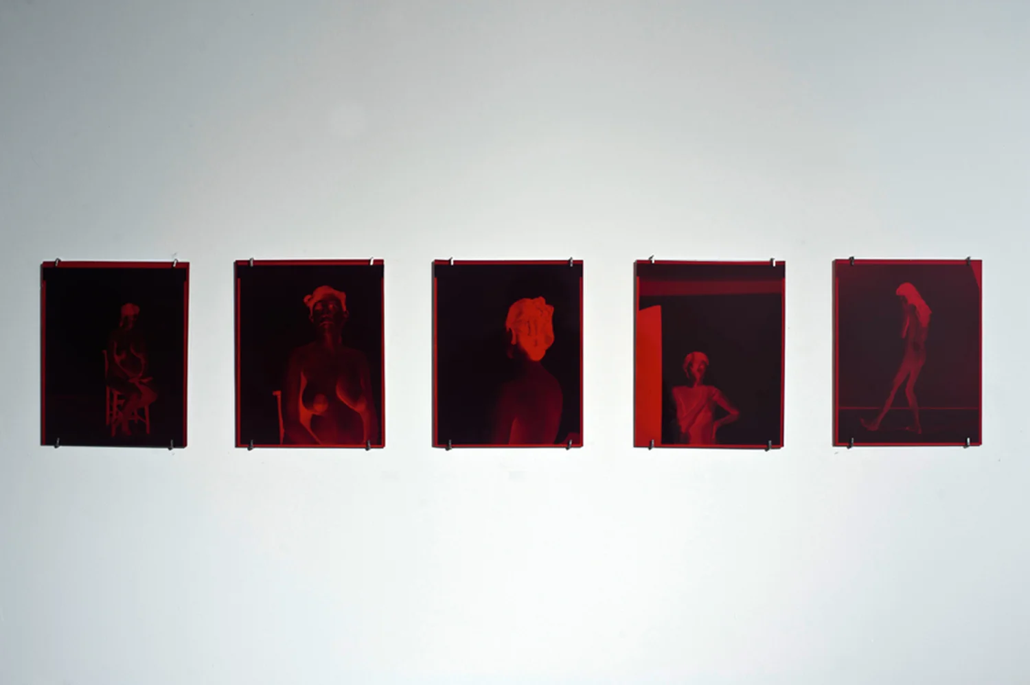  Dora Forbert, Installation view 