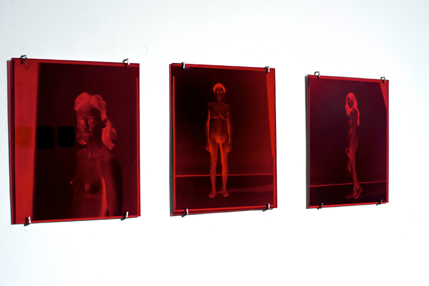  Dora Forbert, Installation view 