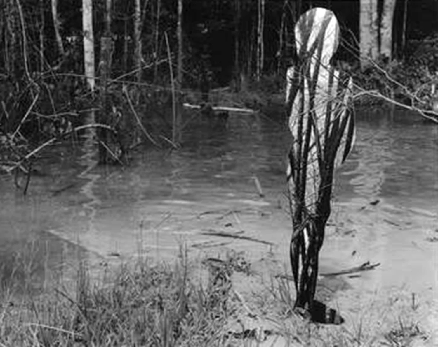 To Photograph - Magic _ Stateres.jpg