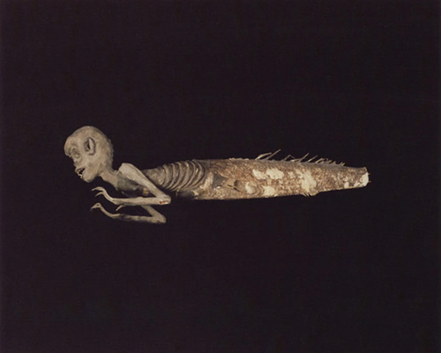 Fig - Mermaidres.jpg