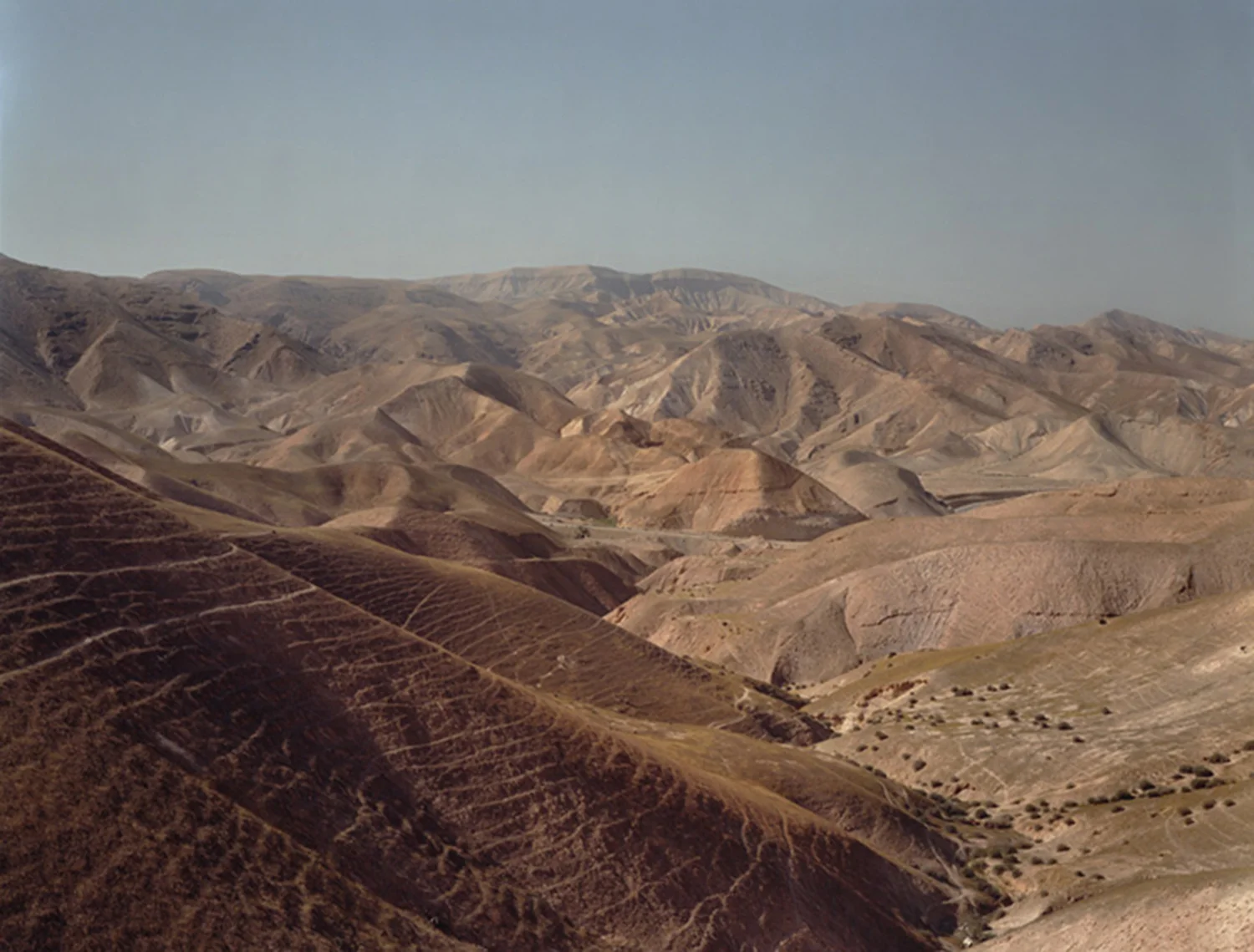 Chicago - Landscaperes.jpg