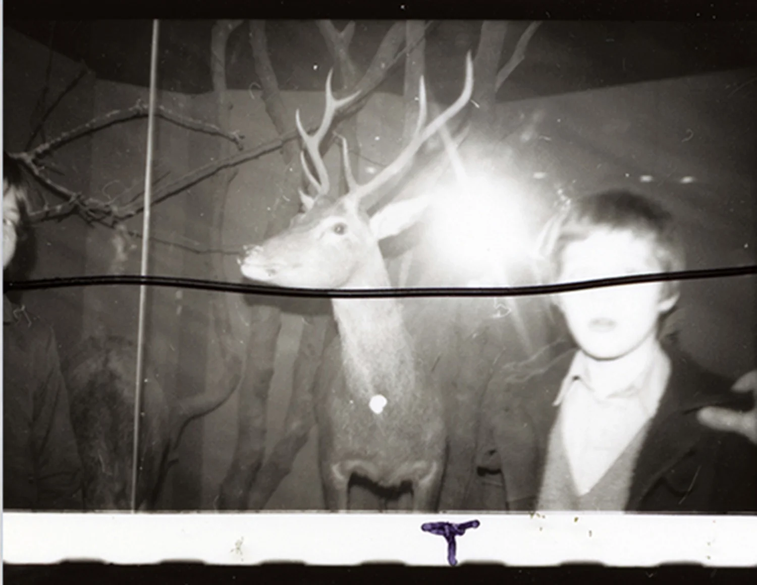 people in trouble 2res.jpg