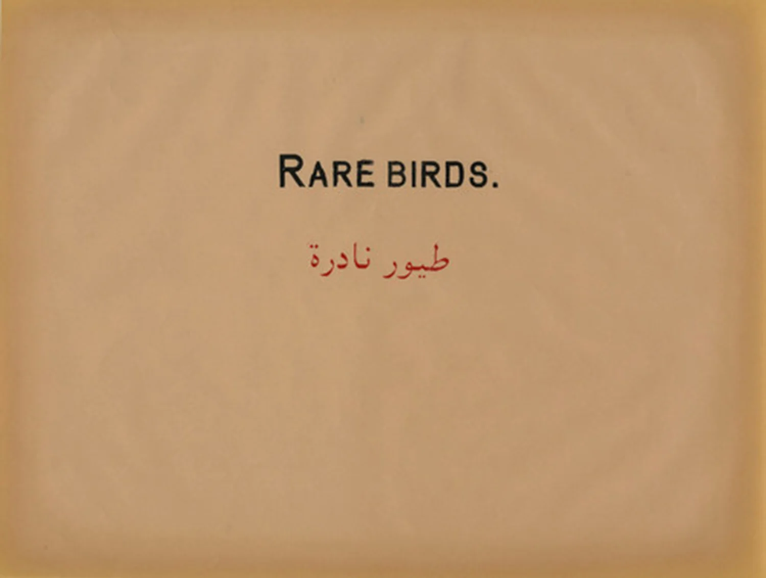 Prestige Of Terror - Rare Birdsres.jpg