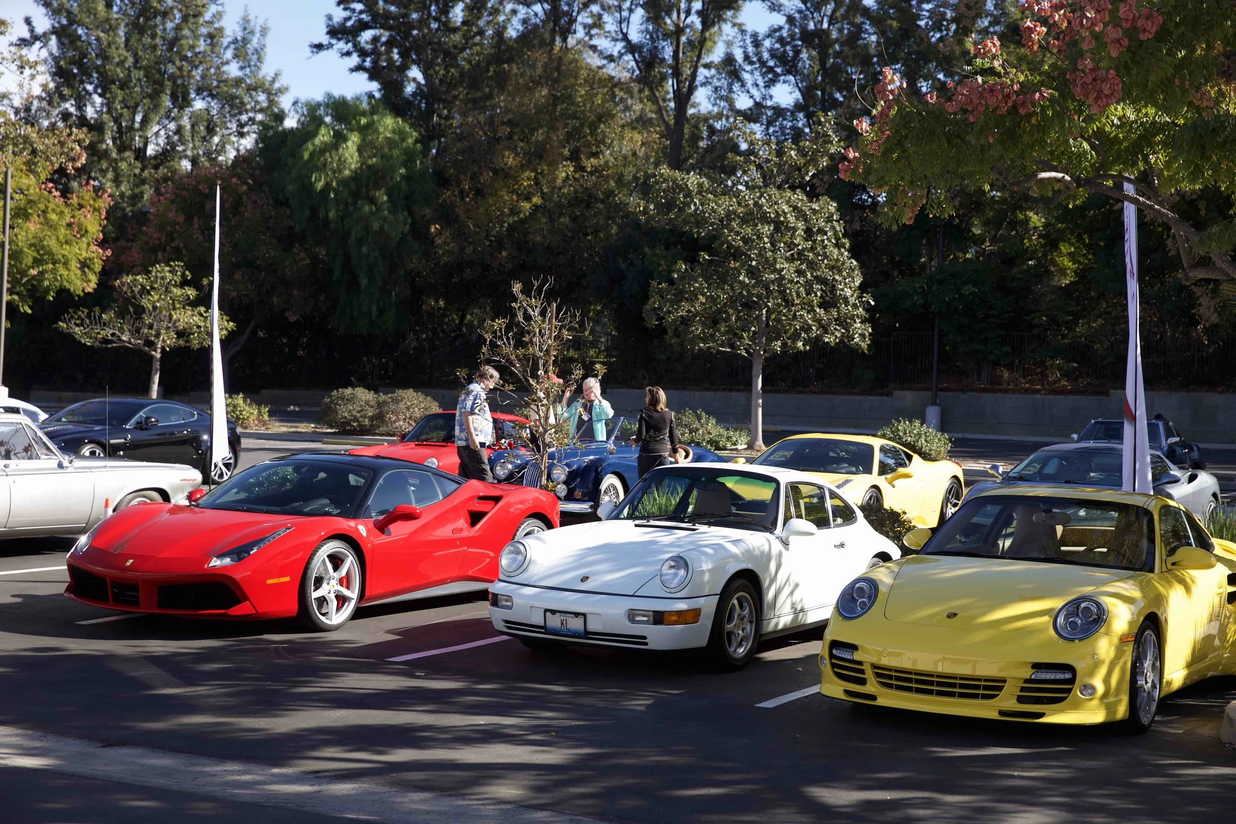 FLAS Cars.jpg
