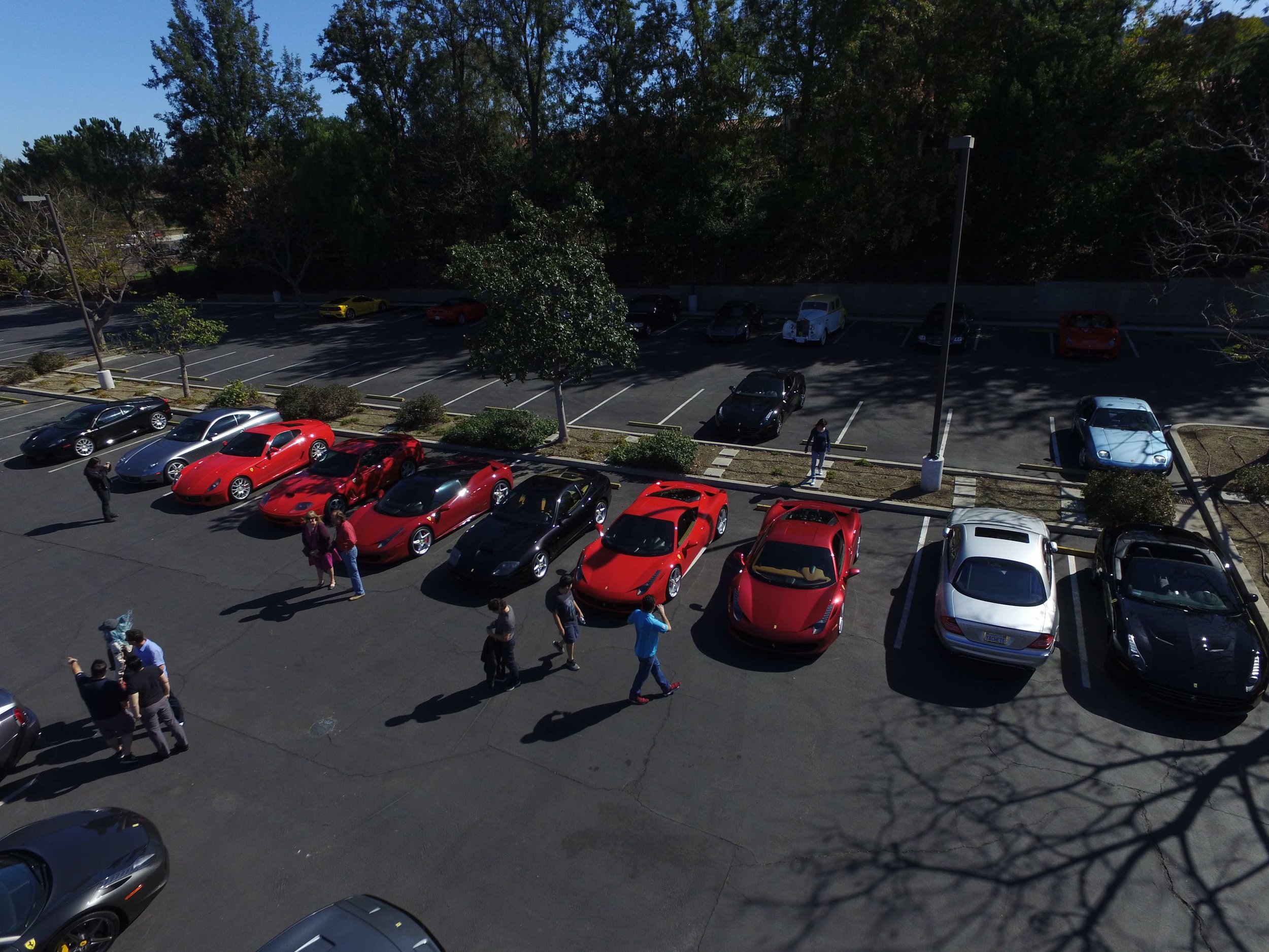 FCA FLAS3.jpg