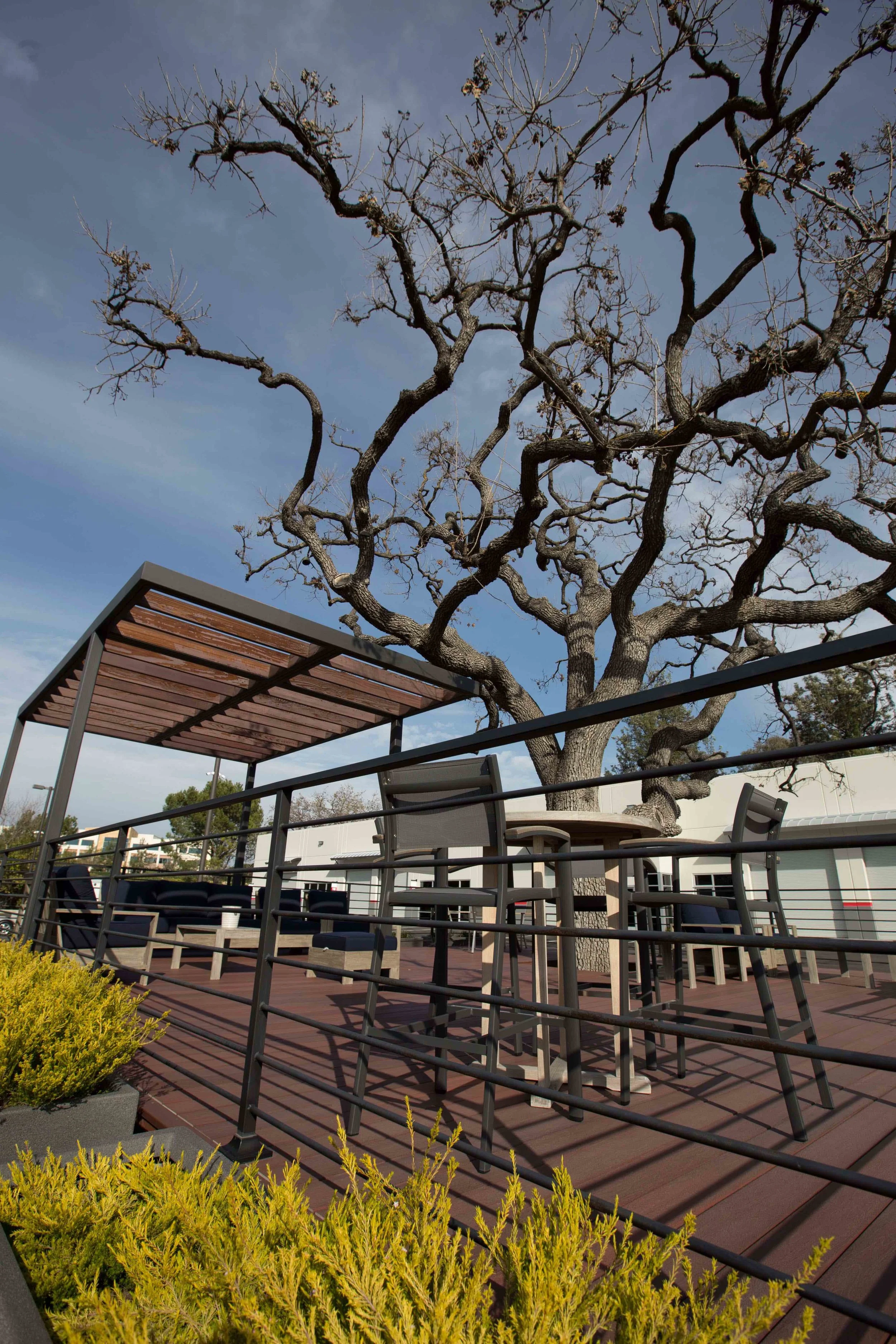 FLAS Patio III.jpg