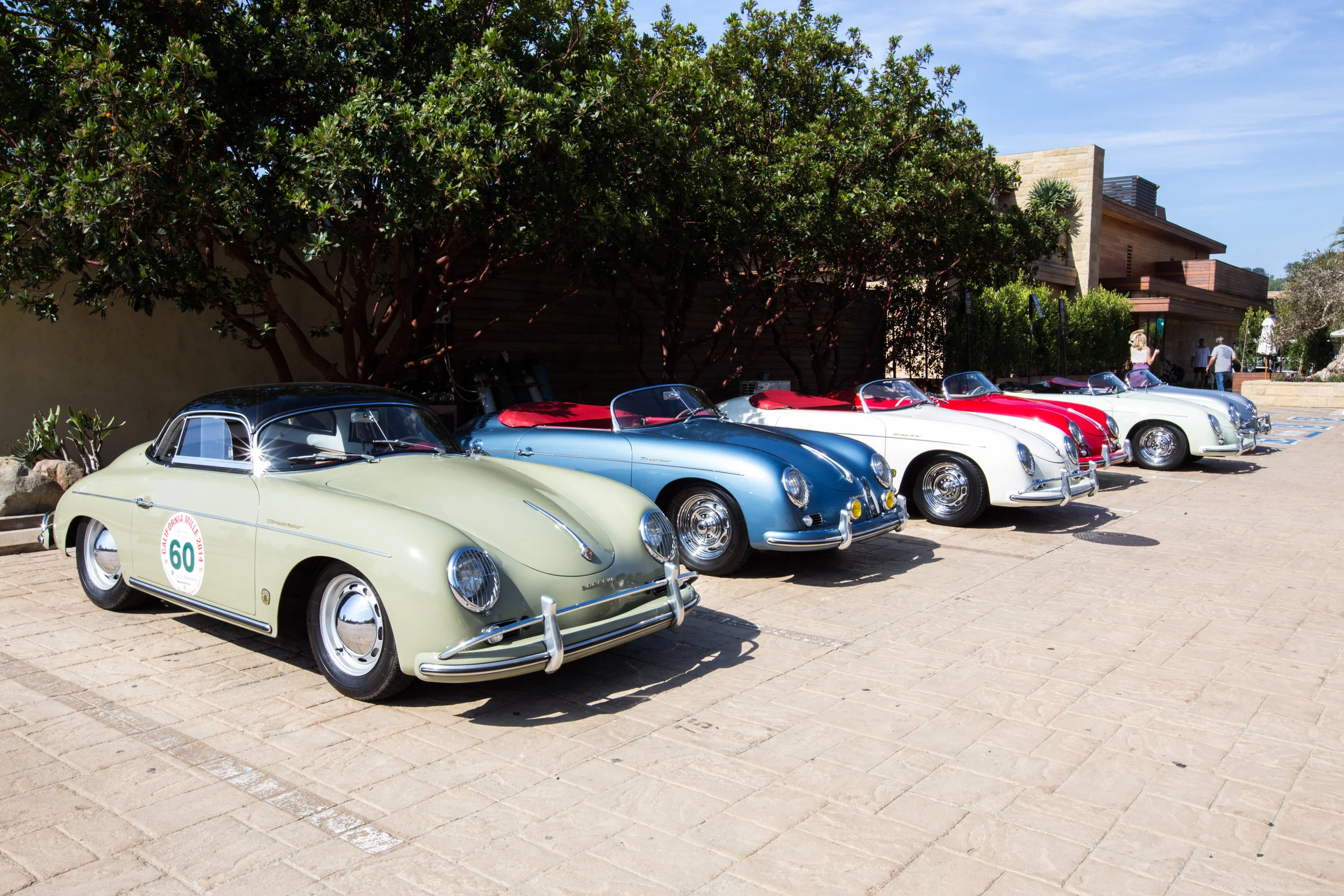 Speedster Drive (8 of 19).jpg