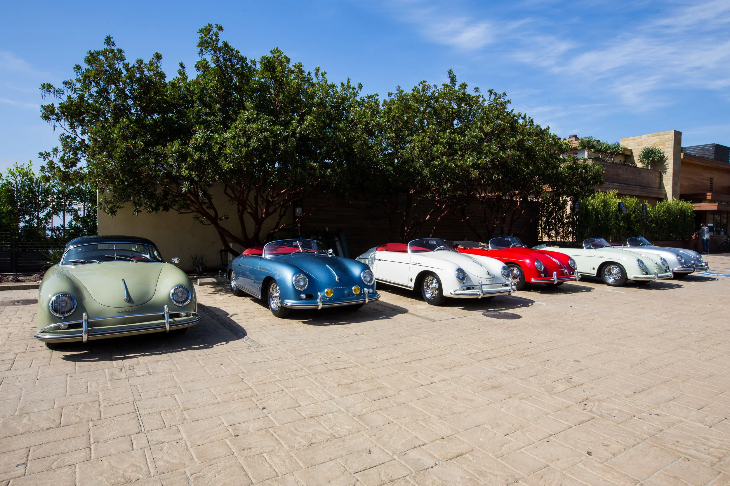 Speedster Drive (9 of 19).jpg