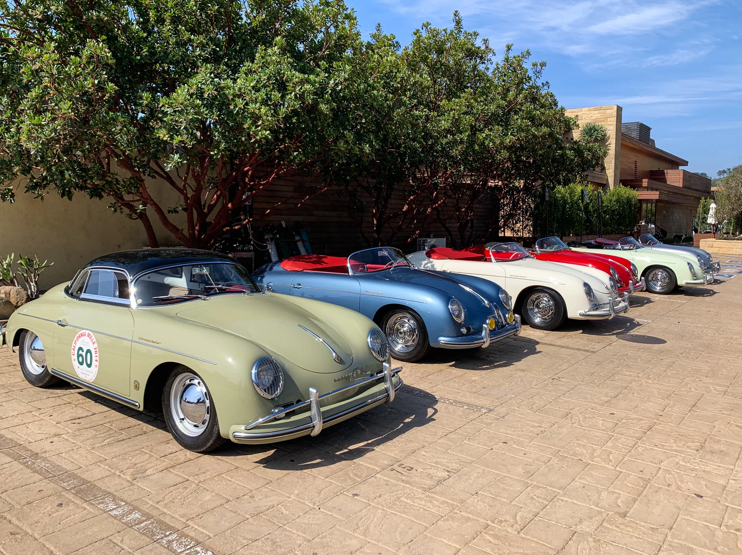Speedster Drive (13 of 19).jpg