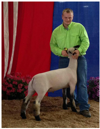 Reserve Oxford, All American Jr. Show Shown by Grant Friesen