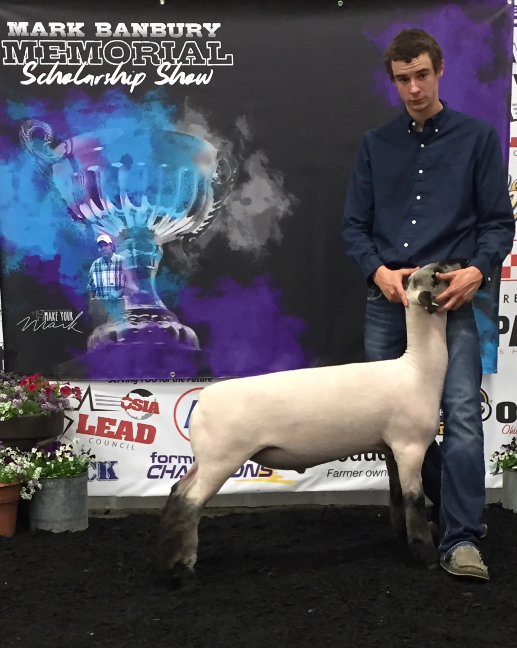 Res. Champ Shrop, Mark Banbury Memorial (OH) Shown by Wes Murphy 
