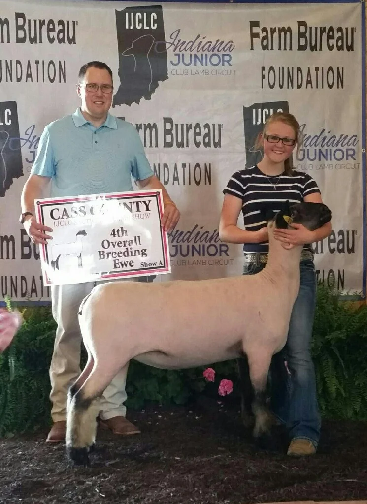 4th Overall Breeding Ewe, Cass County (IN), shown by Morgan Hauger