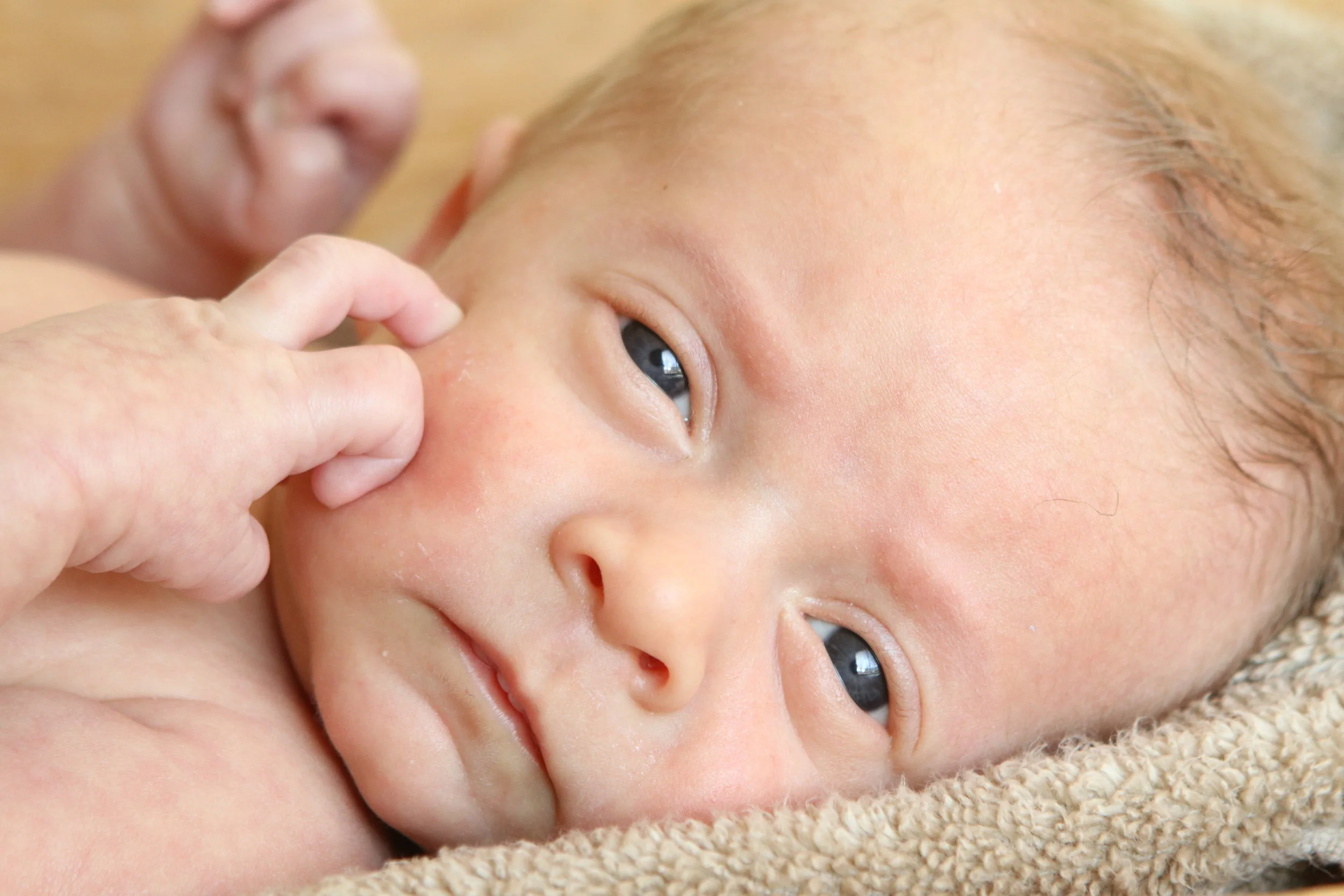 Kipton Blayne was born Jan. 15th-arrived about 6 weeks early for lambing duty!  He is growing and doing well!  