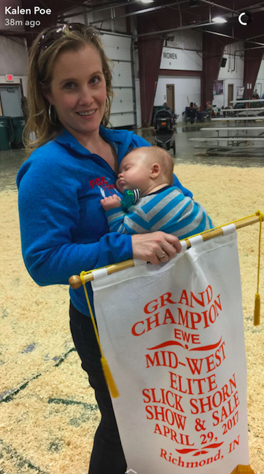 Kipton's first sheep show- tuckered out from all the excitement!