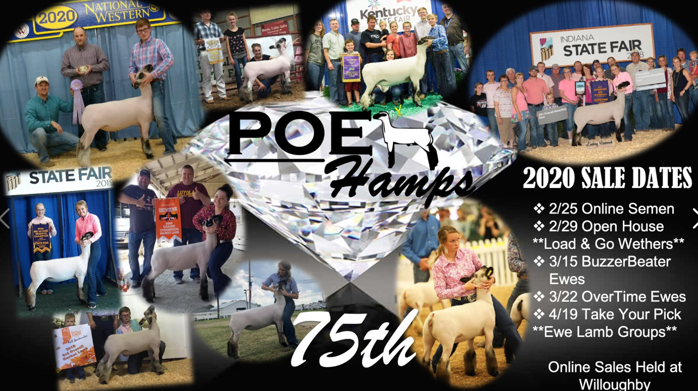 Screen Shot 2020-02-26 at 1.06.06 PM.png