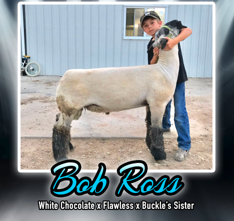 Screen Shot 2021-05-03 at 9.28.14 AM.png