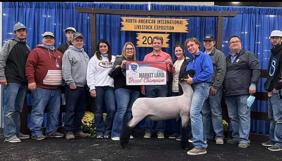 Screen Shot 2021-05-03 at 9.37.10 AM.png