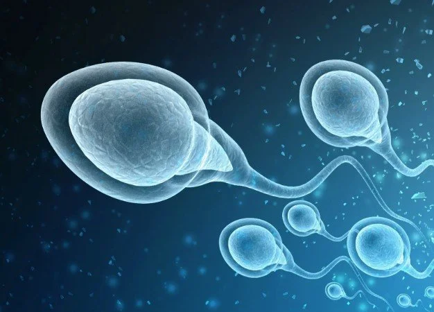 semen.jpg