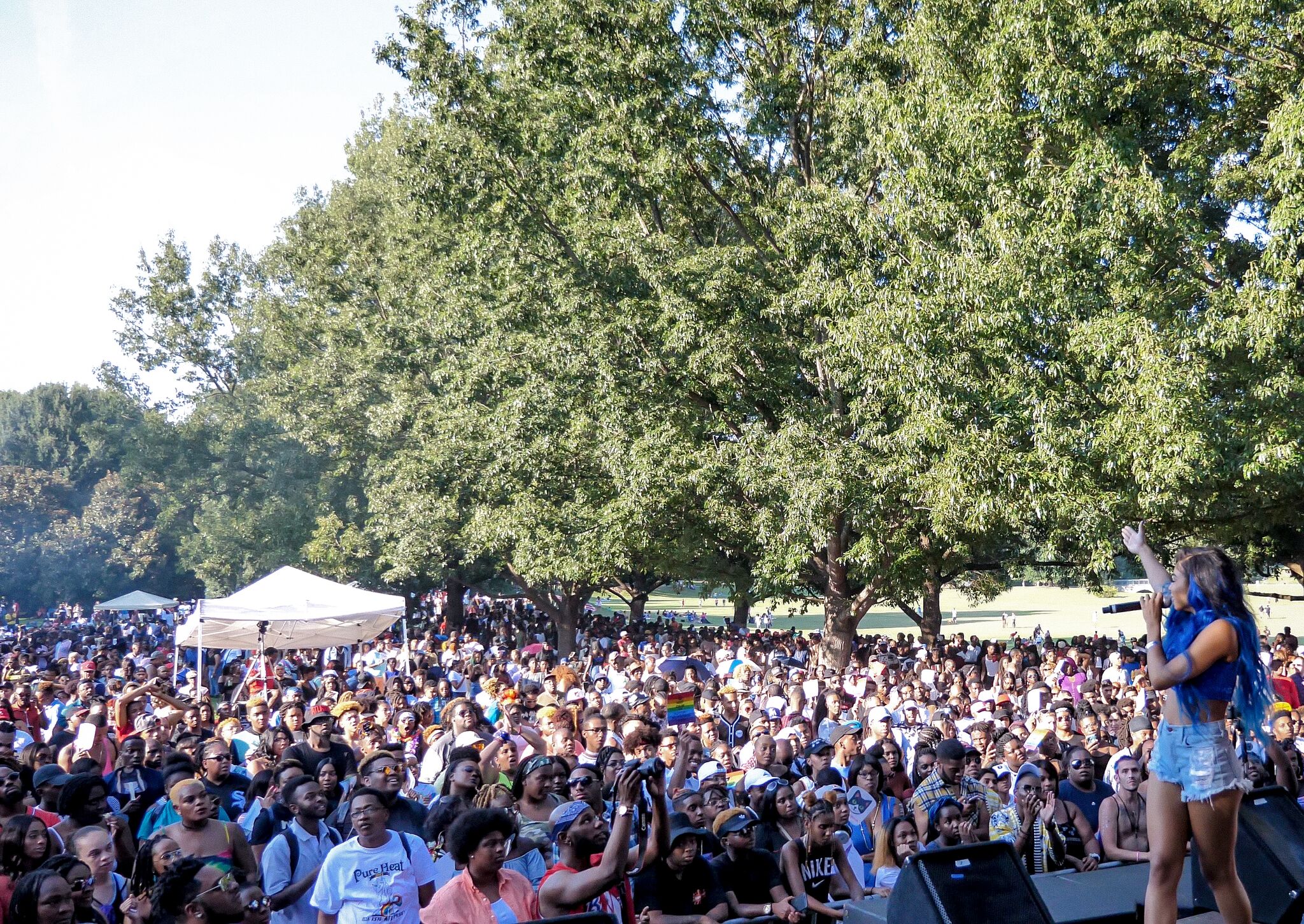 piedmon crowd 2.jpg