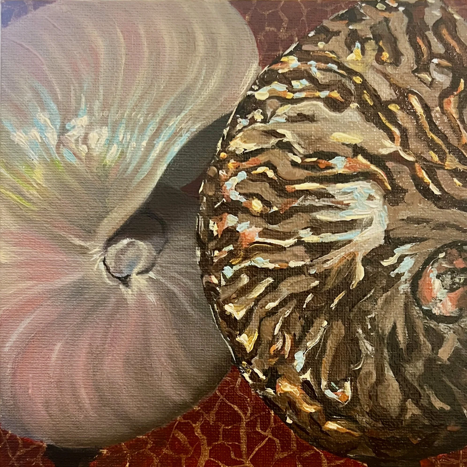 Curious Whisper